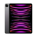 iPad Pro 11 inch (4th Gen - 2022) - M2